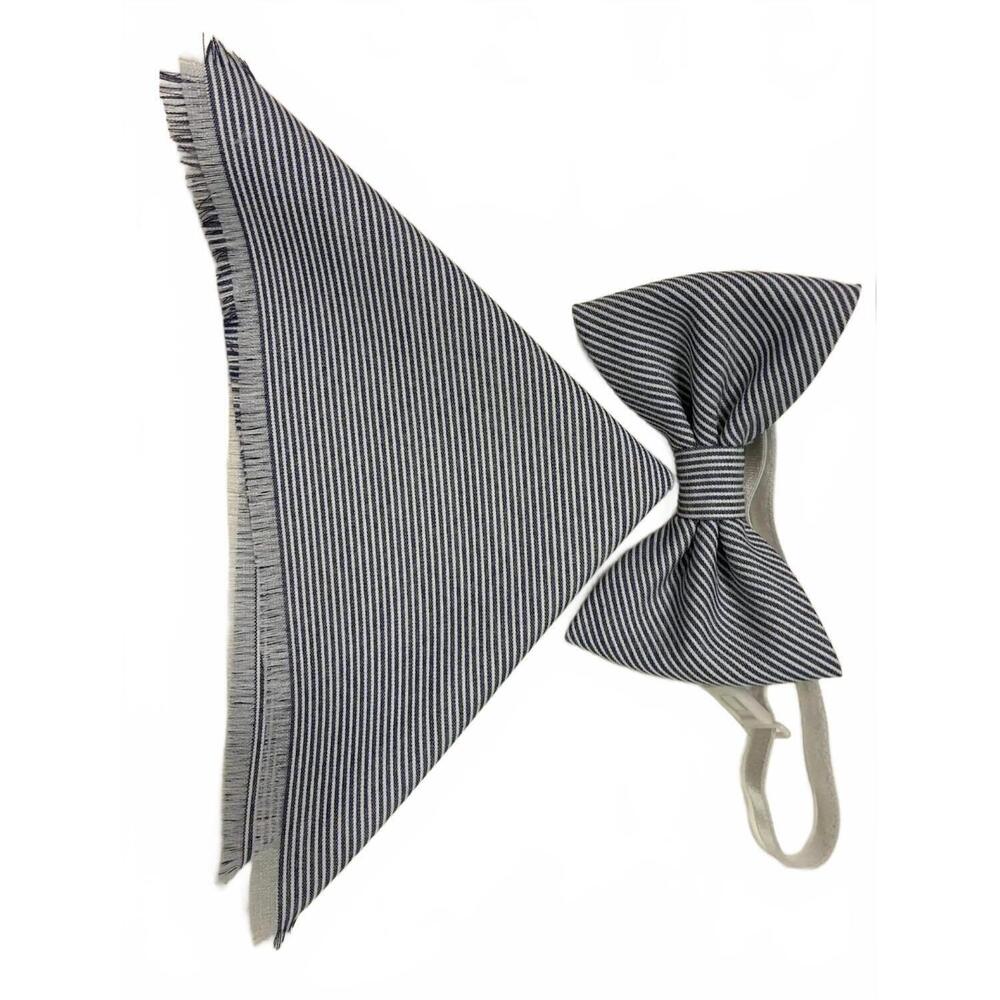 NEW QUIET LUXURY men's bow tie and pocket piece in blue and white stripe